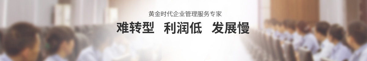 顧問式咨詢項目助力企業(yè)成長