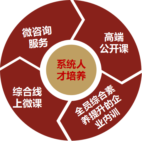 系統(tǒng)人才培養(yǎng)圖片-湖南中堅力量.png